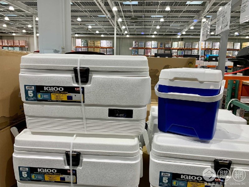 #Costco好市多05月新品通知IGLOO 美國製51及11升冰桶組 #1395109
