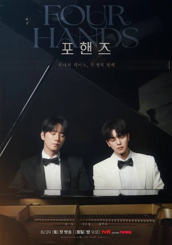 名称：四手联弹，两首奏鸣曲（2026）NF 1080p 内封简中 全12集
