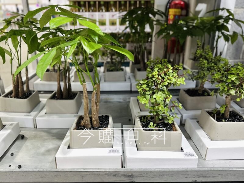 新品情報連結 