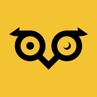 Telegram profile photo for Owlto Finance(🦉💛🦉)