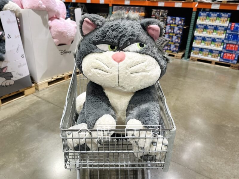 新品情報看這邊 