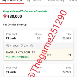 Fantasy sports with The game Telegram Group Link