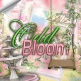 𓂃 𝓞ddbloom 𝓜odel ˖𓍢ִ໋🪷