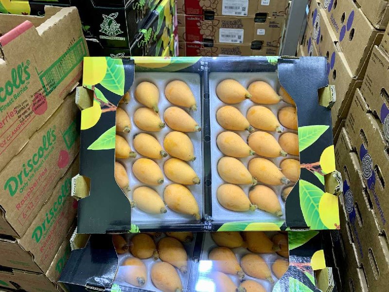 #Costco好市多03月新品通知枇杷 #174527
