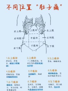 不同位置的肚子疼   丨  #健康 #肚子