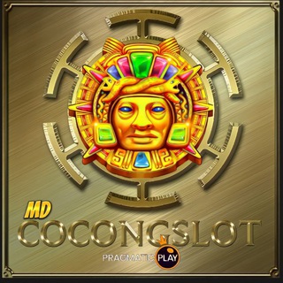 Info job promotor Lider 2025