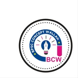 Image from a post by BPSC Concept Wallah