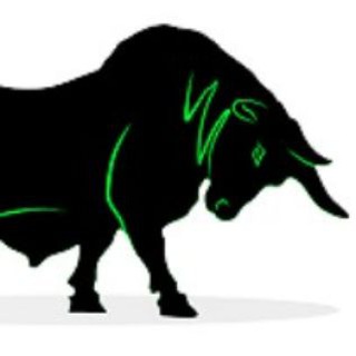 option market (CE/PE) Telegram Group Link