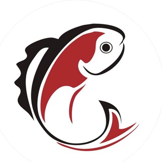 承接快三，六合直播台子气氛组