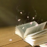 Image from a post by 书墨资源