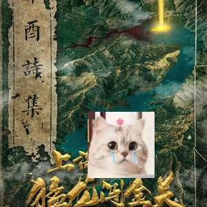 上海滩之猛龙闯金关