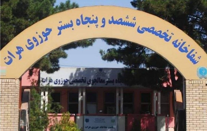 طلوع نیوز TOLOnews Plus: 🔴بیش از ۲ میلیون افغانی از گاوصندوق شفاخانه حوزوی هرات به سرقت رفت🔺️ منابع محلی گفتهاند که دزدان شب گذشته با بازکردن دف