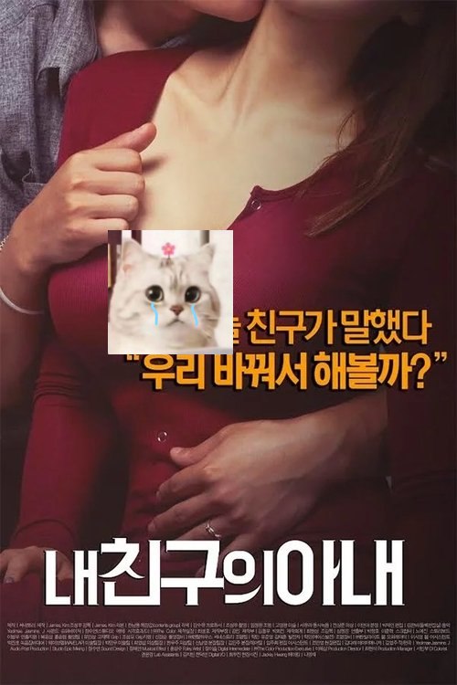 我朋友的老婆
