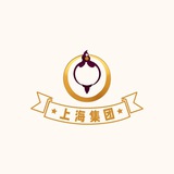 上海集团报告（仅供参考）