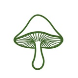 见手青频道