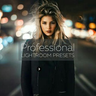Professional lightroom preset logo