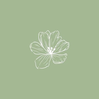 @seedprems vouches.ᐟ🥹🫶🏻