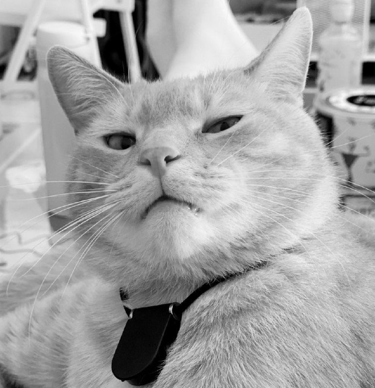 因疫情防控而造成的死亡已经超过疫情本身