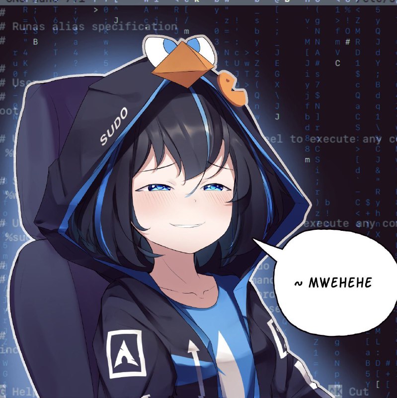 Linux很笨