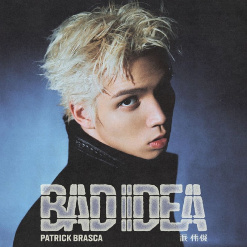 名称：派伟俊 BAD IDEA (2026) (FLAC Hi-Res 24bit 48khz
