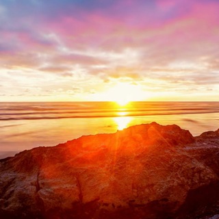 Bollywood actors group Telegram Group Link