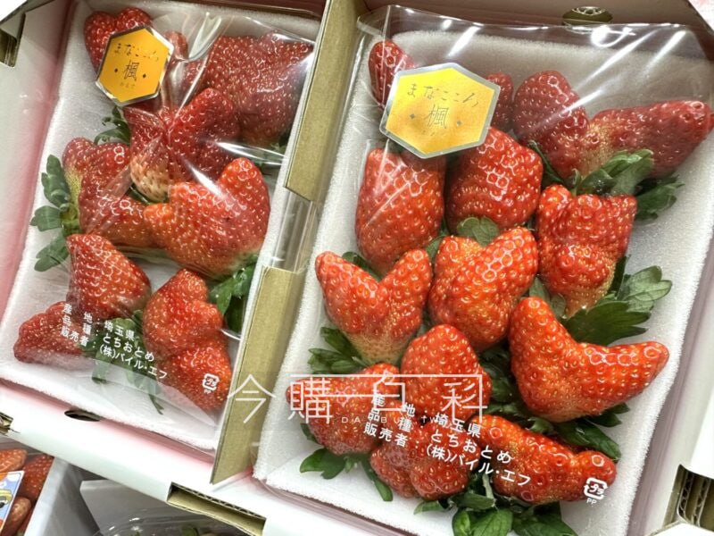 新品情報看這裡 