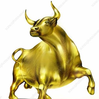 PRIME CALLS GROUP ( ALL SEGMENTS ) Telegram Group Link