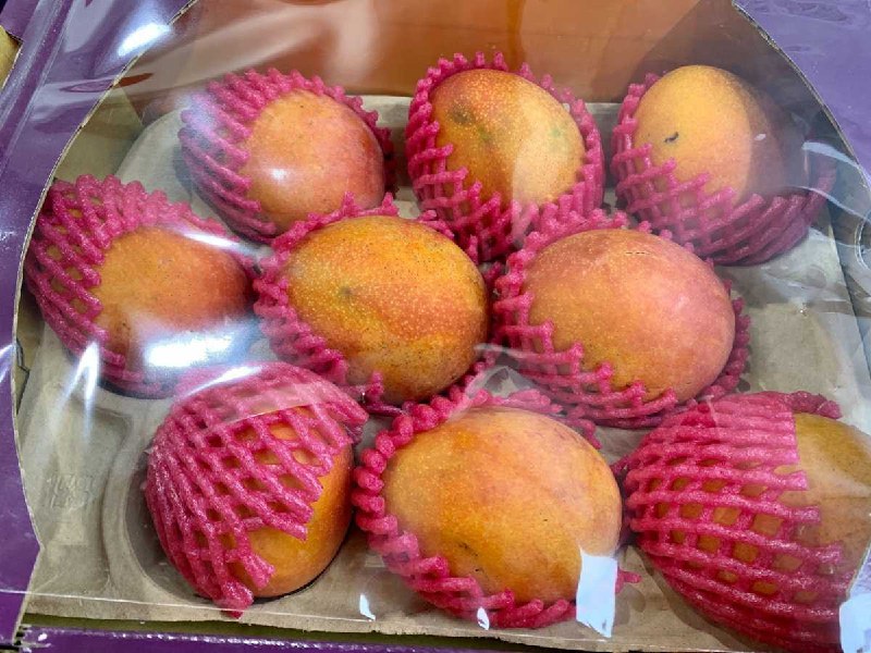 #Costco好市多05月新品通知愛文芒果 #34824