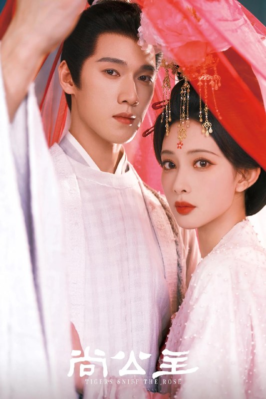 #剧集