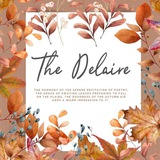 Delaire File