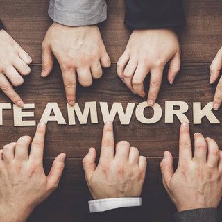 Punjab &Chandigarh&Haryana&Himachal Collection Jobs Telegram Group Link