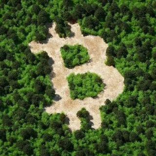 Update Bitcoin & Altcoin ~ Andre Greystone Channel