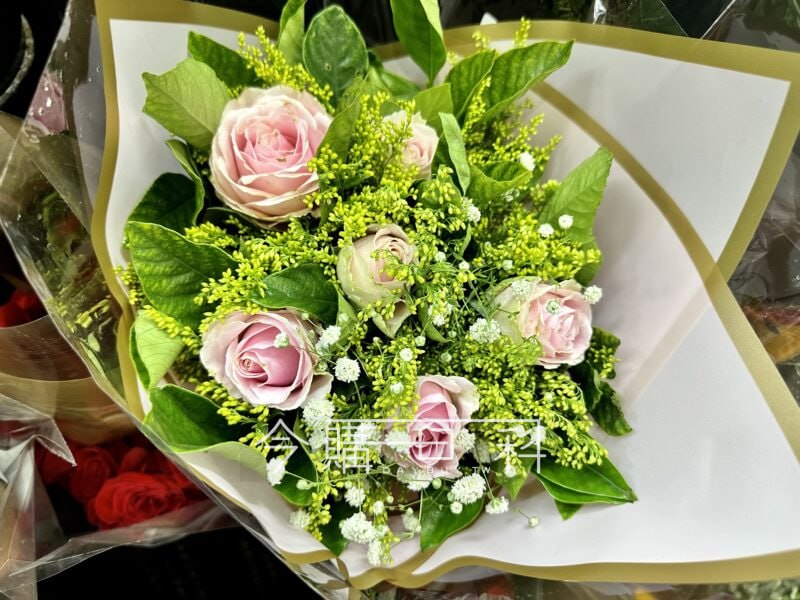 新品情報看這裡 