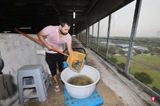 阿波罗水产养殖集团在2022年因财务危机而结束营业，旗下价值6500万元的多层垂直养殖场如今由Aquachamp接手，设施经过整合与升级，已恢复部分养殖业务。https://zb.sg/qBQE