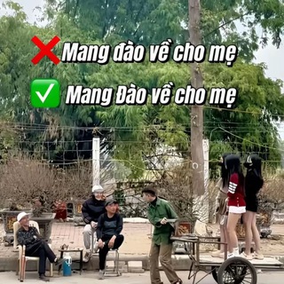 🪄 KIẾM TIỀN FREE 🪄