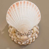 Shell Card