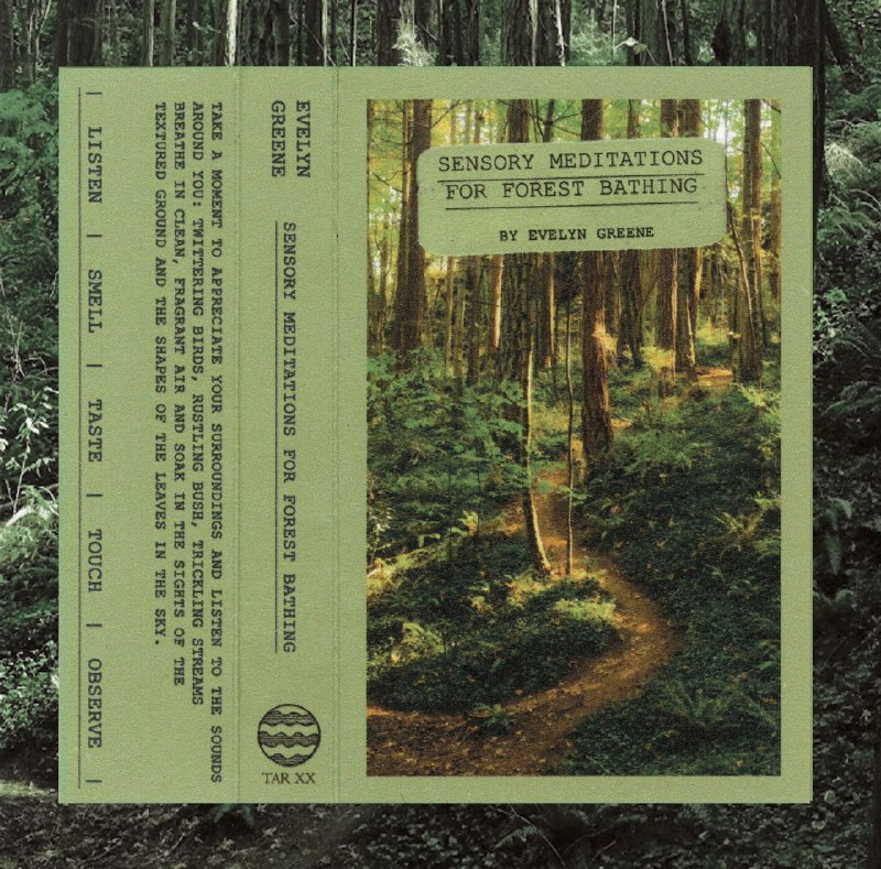 名称：Evelyn Greene - Sensory Meditations For Forest Bathing (2025) FLAC 24bit 44kHz