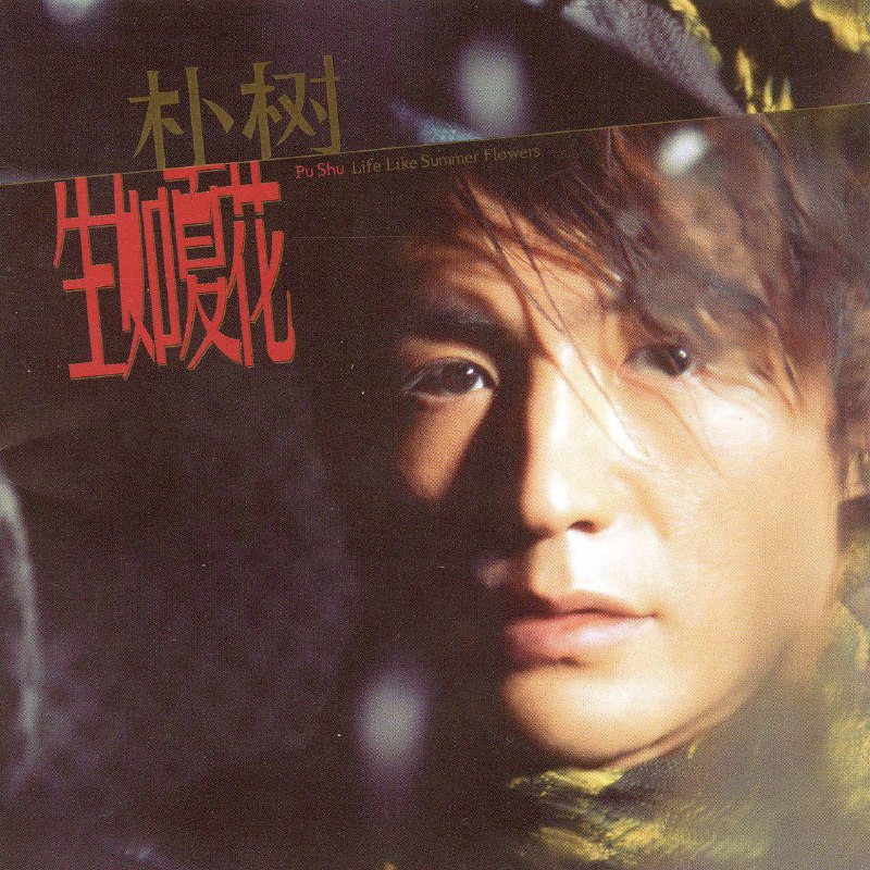 朴树 — 2003年专辑 — 生如夏花 dsf描述