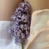 Lilac 🪻