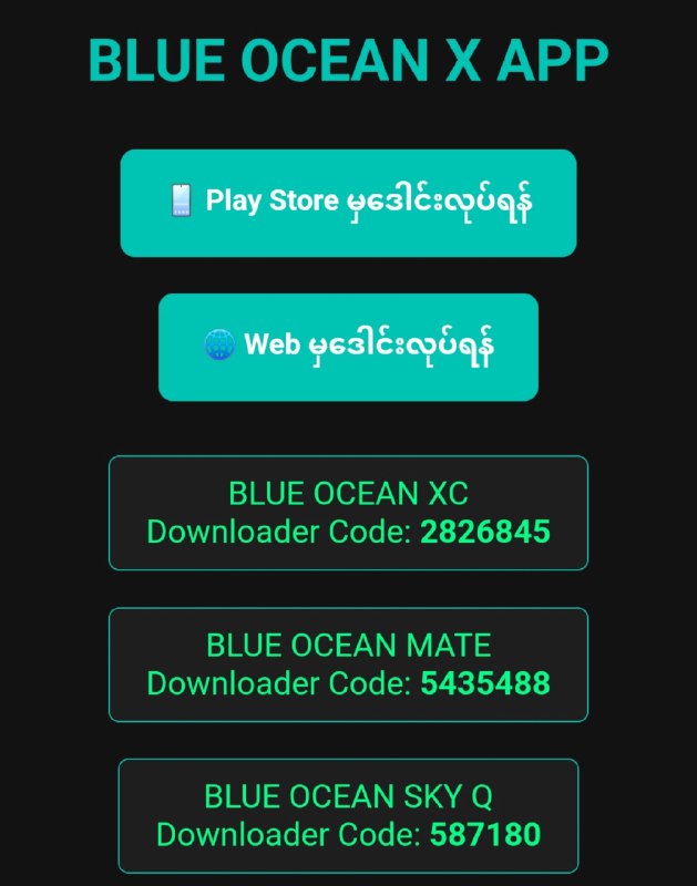 BLUE OCEAN X APP