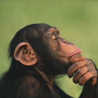 【李微敖】看新闻说，中国台湾给中国台湾民众，每人发1万元新台币，大概相当于2300元人民币，今天开始陆续到账。在中国台湾的农民，65岁以上，每月现在大概能够领到接近9000元新台币（大概相当于2000元人民币）。