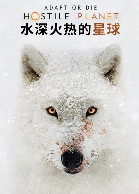 水深火热的星球