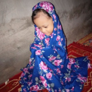 Tylrygye Telegram Group Link