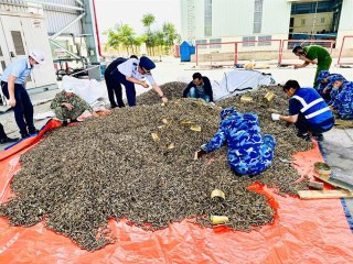 越南海关在海防市定武港查获一批申报为废铜的弹药，重量约 25t。该批货物原产地马来西亚，经手公司法人有中资背景。据查该批货物实为可正常击发使用的军用弹药。