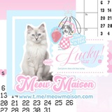 open — meow maison! ˳ ࣪ ୧: