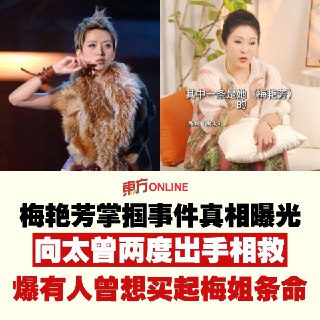 已故天后梅艳芳曾在1992年遭遇过黑社会“掌掴事件”，电影《梅艳芳》中也还原了当时的经过。普遍的说法是，梅艳芳当时在麦嘉经营的九龙塘Take One卡拉OK消遣，隔壁包房是“湖南帮”的人物。对方邀请梅艳芳入房喝酒、唱歌，但都被她拒绝，结果现场一名男子出手掌掴梅艳芳。事件发生后更引发江湖腥风血雨，最终牵涉到两条人命。据《星岛头条》报导，向太（陈岚）近日拍片大爆当年“掌掴事件”的真相，原来当年是她亲自出手营救梅艳芳。她还透露，阿梅并非只得罪过一次有势力的人物，在另一起事件中，涉事的黑社会大哥甚至曾出巨款，要取梅