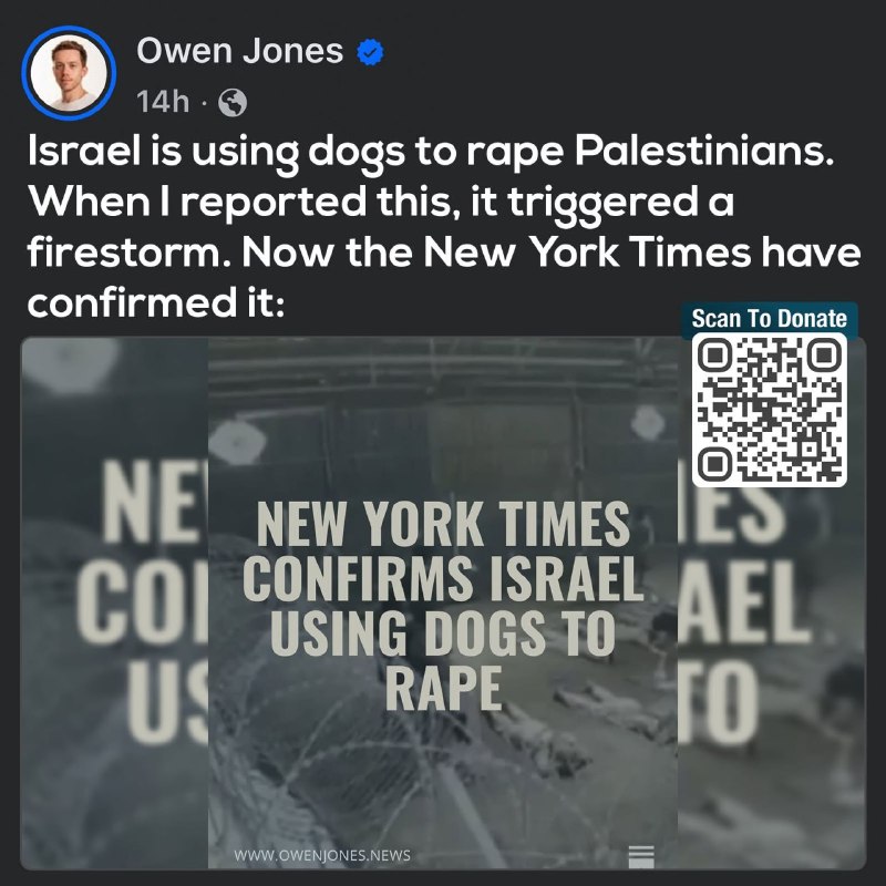 כמה כותרות עוצרות אותך על עקבותיך ושוברות את ליבך. במשך זמן רב מדי, דיווחים על התעללות ועינויים בלתי נתפסים…