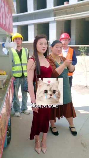 股神隐世，一心只想卖炒饭