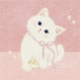 anggora 🐈🐾