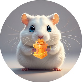 Telegram profile photo for 🌈App Gifts Groups